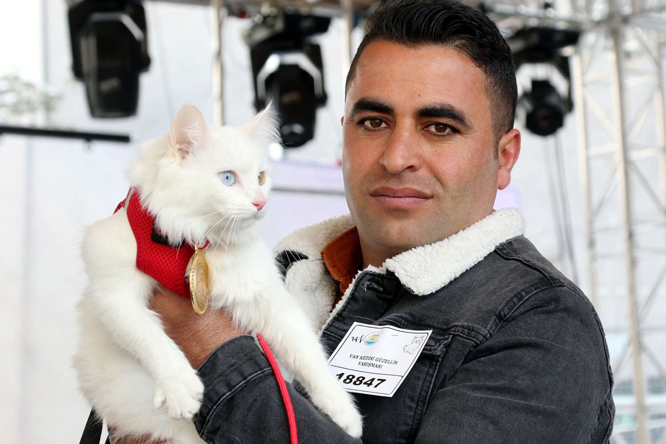 En güzel Van kedisi seçildi En güzel Van kedisi seçildi